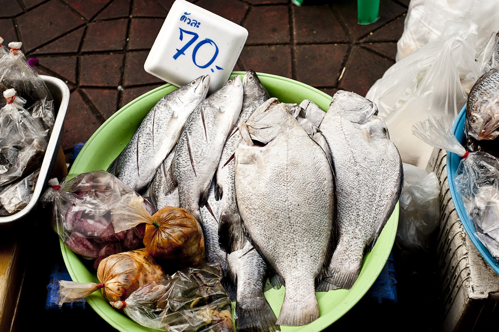 Fresh whole seafood arranged at a wholesale market